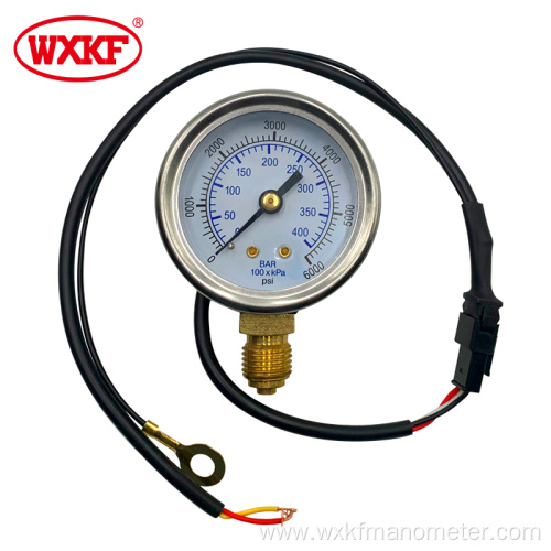 YN60 back connection CNG pressure gauge